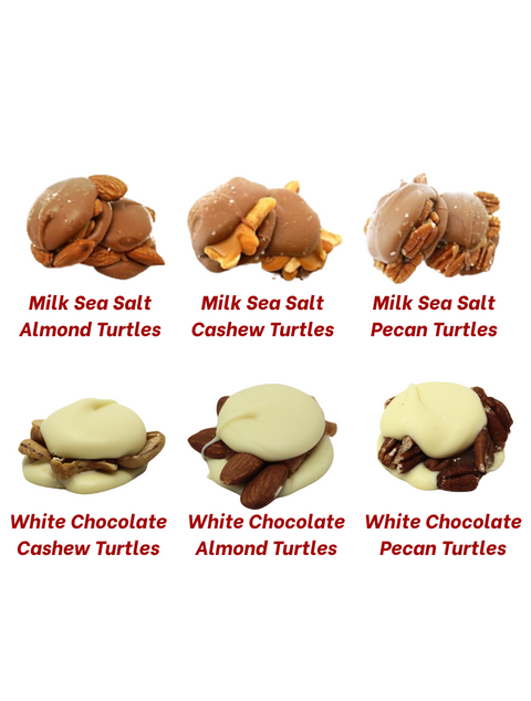 Build Your Own Signature 45 Piece Turtle