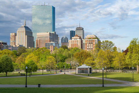 7 Best Boston Souvenirs Worth Squeezing Into Your Carry-On