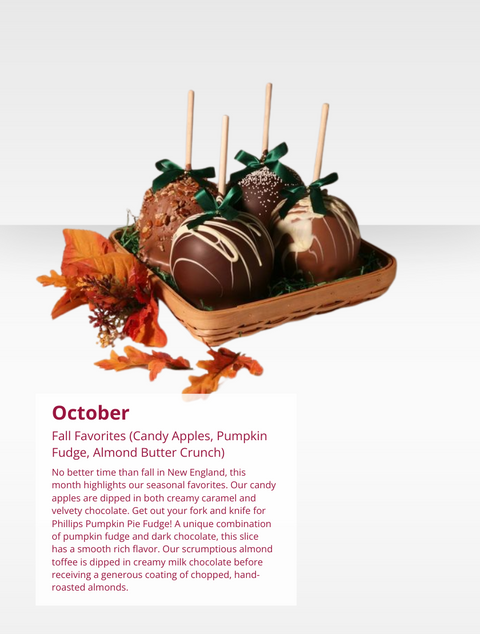 Delicious chocolates from the Chocolate of Month Club by Phillips Chocolate, perfect for gifting or indulging.