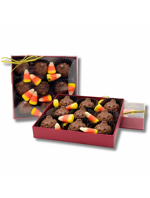 Delicious Pumpkin Patch -PB-Milk chocolate from Phillips Chocolate, perfect for fall treats and desserts.