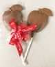 Chocolate Apple Pop with Caramel Foil Apples & Teacher Ribbon