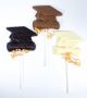 Chocolate Graduation Pops