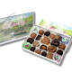 City Scene Chocolate Box